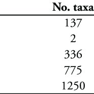 Image result for Afrocanthium ngonii