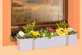 Hallo leute ich habe seit neuestem blumenkästen vor meinem fenster (gut abgesichert)ab 13 uhr bis 21 uhr sonne.da ich total neu auf diesem gebiet bin,würde mich interessieren welche blumen ich pflanzen kann!!! Vario Fix