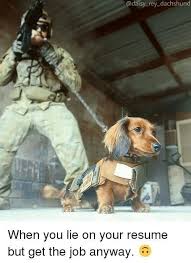 When Animals Apply For A Job 15 Memes Funny Dachshund Wiener Dog Dog Memes