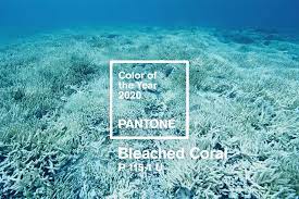 The Pantone Colour Of The Year 2020 Will Be Bleached Coral News Digital Arts Pantone Color Of The Year Pantone Color