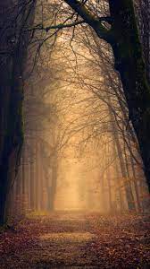 Pin On Nature Wallpapers