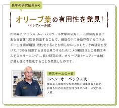 Oleafオレアノール酸の機能性 Oleaf オリーブ葉 のすべて オリーフプラス Oleaf