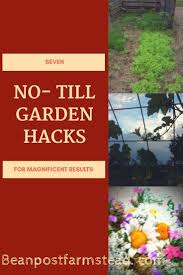 13 Unbelievable Garden Landscaping Books Ideas In 2020 No Till Garden Backyard Garden Layout Gardening Techniques