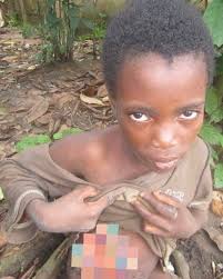 Today was meant for another Mother's Day update but it's Mary's birthday  and celebration time🎂🎉 We rescued Mary almost 12 years ago. We found her  inside the bushes. She was hiding from