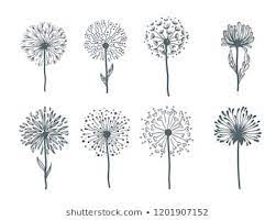 Similar Images Stock Photos Vectors Of Abstract Flower Vector Dandelion 127134734 Shutterstock In 2020 Rock Painting Art Dandelion Abstract Flowers