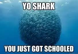 Enjoy the match between sharks and blue bulls taking place at european union on june 12th, 2021, 12:15 pm. What Are The Best Misunderstood Shark Meme Images Quora
