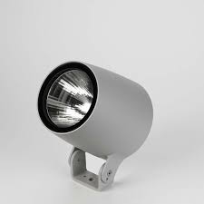 Image result for Monospot