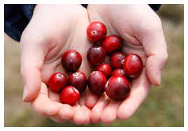 Check spelling or type a new query. Cranberries Jugos Y Aperitivos Ocean Spray