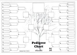 Generation Family Trees 6 Tree Template Excel 8 Chart Free