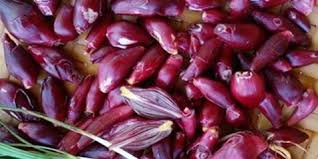 Diantara khasiat bawang dayak adalah meringanan penyakit vertigo. 8 Manfaat Bawang Dayak Bagi Kesehatan Berkhasiat Atasi Penyakit Berat Kapanlagi Com