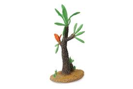 Williamsonia is one of the organisms in birthdays the beginning. Williamsonia Tree Collecta Trees Plants Diermodel