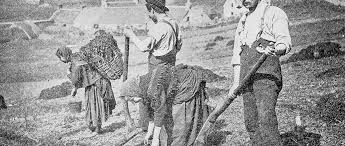 History Of Organic Agriculture | Ppt