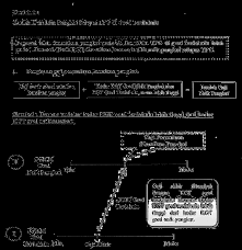 Kopertais wilayah xiii jambi didirikan pada tahun 2008, dengan menaungi 11 perguruan tinggi islam swasta (ptais), sejalan dengan waktu pada tahun 2010, 4 perguruan tinggi islam baru ikut bergabung di bawah naungan kopertais. Https Jpan Sabah Gov My Images Aplikasi Pekeliling Jqpnfg Pdf