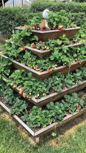 Kimberly Wildman (wildancer)