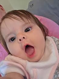 This is my second time BLW. Our first experience was very successful, but  feels like a blur. Suggestions for first foods? Mary is ready to eat!