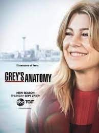 Regarder grey's anatomy saison 15 en streaming hd gratuit sans illimité vf et vostfr. Voir Serie Grey S Anatomy Saison 15 En Streaming Greys Anatomy Season Greys Anatomy Greys Anatomy Poster