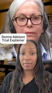 Donna Adelaon Horrible Lawyer