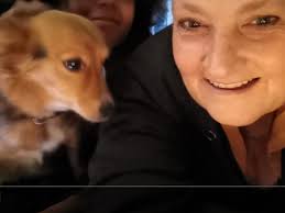 Fundraiser by Roy Sam-Sin : Operatie hondje Sammy. Maatje van onze lieve  oma Wilma