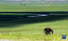 美丽中国丨夏日莫尔格勒河_中国网客户端