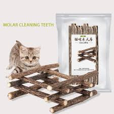 It's a great toy for your cat's teeth because the design of it cleans. Pawaca Catnip Sticks Cat Teeth Cleaning Cat Cleaning Teeth Organic Catnip Toys Natural Plant Chew Sticks Cat Teeth Cleaning Chew Toy For Cat 10pcs Buy Online In India At Desertcart In Productid