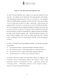 Image result for Diheteropogon amplectens