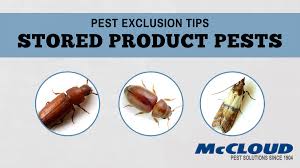 We aren't satisfied until you are. Exclusion Strategies For Stored Product Pests Mccloud Pest Solutions
