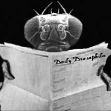 In contrast to previous genetic analyses, these screens were designed for genomic saturation, i. Edward B Lewis Christiane Nusslein Volhard And Eric F Wieschaus Download Scientific Diagram