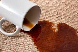But removing the bog coffee stains seem nothing short of a herculian task. How To Get Coffee Out Of Carpet Fatigue Spillage Home Stratosphere
