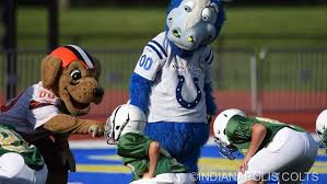 Jeden tag werden tausende neue, hochwertige bilder hinzugefügt. Colts Mascot Mascot Every City