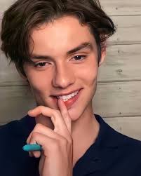 Louis talks about finding out he got the part in enola holmes the day he had a huge test, being on a bus with friends when the movie was released on netflix,. Louis Partridge On Instagram The Quality Of This Piccc Louispartridge Louispartridge Selebritas Wattpad Romansa