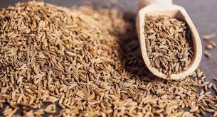 Inlacin (mengandung ekstrak daun bungur dan kayu manis) untuk diabetes. Jintan Putih Manfaat Efek Samping Dan Tips Penggunaan Idn Medis