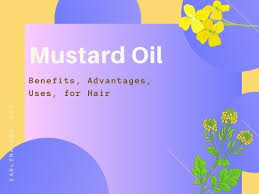 Mustard oil, when consumed or applied topically to skin and hair have many proven health benefits. Mustard Oil Benefits Uses For Hair And Advantages Early Natural