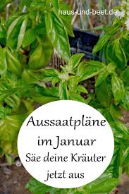 Aussaatplane Im Januar Das Neue Gartenjahr Beginnt Haus Und Beet Wintergemuse Anbauen Gemusegarten Planer Garden Types