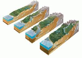 Hydrologic Cycle And Interactions