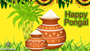Polish your personal project or design with these pongal transparent png images, make it even more personalized and more attractive. Pongal 2021 Wishes Messages Quotes Photo Facebook And Whatsapp Messages Ritiriwaz