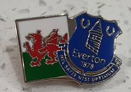 Everton Fc Wales Official Pin Badge Blue Crest With Welsh Flag Gift Idea Ebay