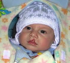 The Pape Foundation, NFP