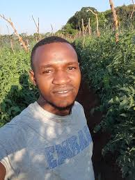 Best top dressing fertilizer for trees its what?