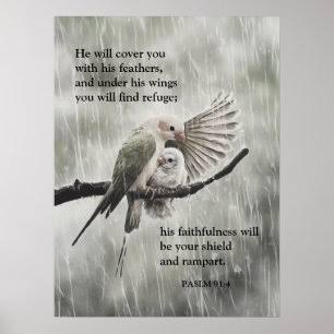 Psalm 91 4 Posters & Photo Prints | Zazzle AU