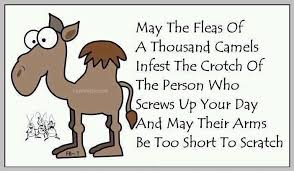 Hilarious Funny Quotes Screwed Up Laugh Out Loud