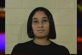 Raina Richardson — Liberty County Jail Bookings