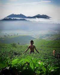 04.02.2019 · anak pramuka di kebun sawit date: Pesona Desa Wisata Malasari Di Nanggung Kabupaten Bogor