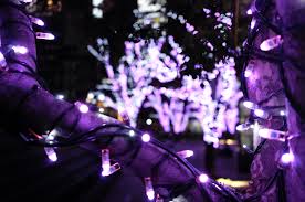 Wallpaper Japan Night Purple Christmas Lights Leica Tokyo Jp Light Color Flower Illuminated Illumination Darkness T Leicat Summicront235 Summicron T235 Tokyomidtown Christmas Decoration 4928x3264 490249 Hd Wallpapers Wallhere We have 64+ amazing background pictures carefully picked by our community. wallhere