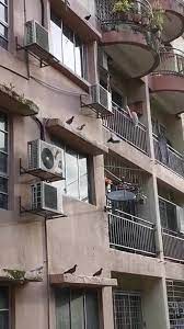 It profiles the best buildings from downtown to diamond head. Taman Abadi Indah Apartment Home Facebook