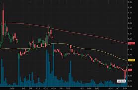 Zom) is a penny stock that has skyrocketed over 400% since the start of furthermore, with the planned commercial launch of truforma set for this quarter, will zom remain. 4 Penny Stocks To Buy Under 0 99 Are They Worth The Risk