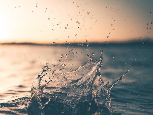 The water advisor - the best tips for saving water