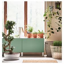 An Insider S Guide To Getting First Dibs On The Best Ikea Houseplants Gardenista Ficus Microcarpa Bonsai Ficus Ficus