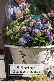 5 Spring Garden Ideas Hydrangea Garden Planting Hydrangeas Spring Garden