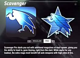 The best place to get cheats, codes, cheat codes, perks, walkthrough, guide, faq,. Scavenger Perk Scavenger Spawn