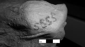 Tattoos, because of pain that was involved, took a manlier role because men were noted to be stronger and capable of handling the pain. Ancient Egyptians May Have Worn The World S First Tattoos Nova Pbs
